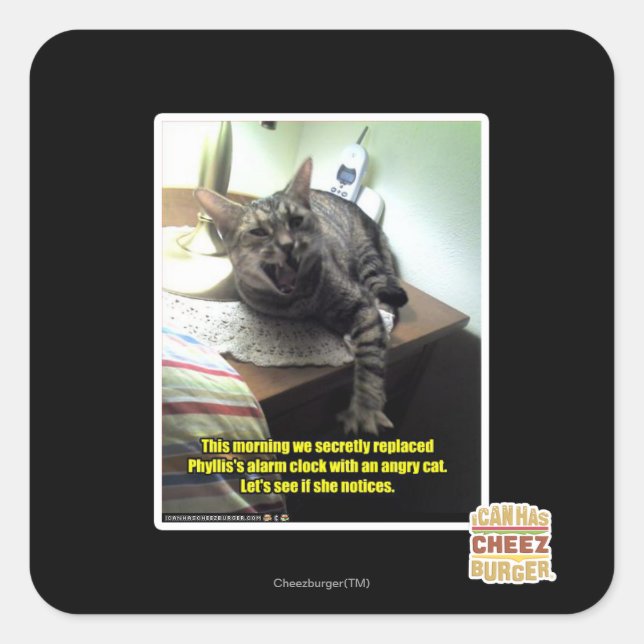 Sticker Carré Voyons si elle le remarque. (Devant)