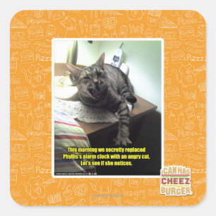 Sticker Carré Voyons si elle le remarque.