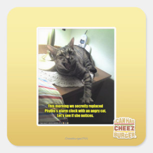 Sticker Carré Voyons si elle note