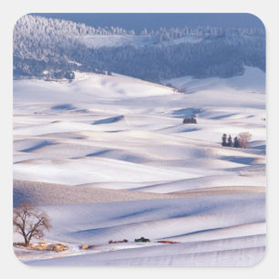 Sticker Carré Vue de Steptoe Butte de collines ondoyantes couver