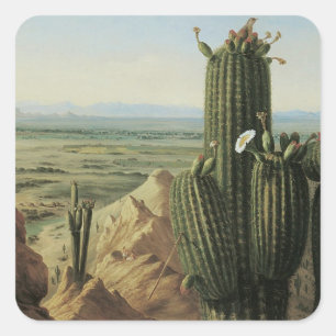 Sticker Carré Vue depuis la montagne Maricopa près de Rio Gila p