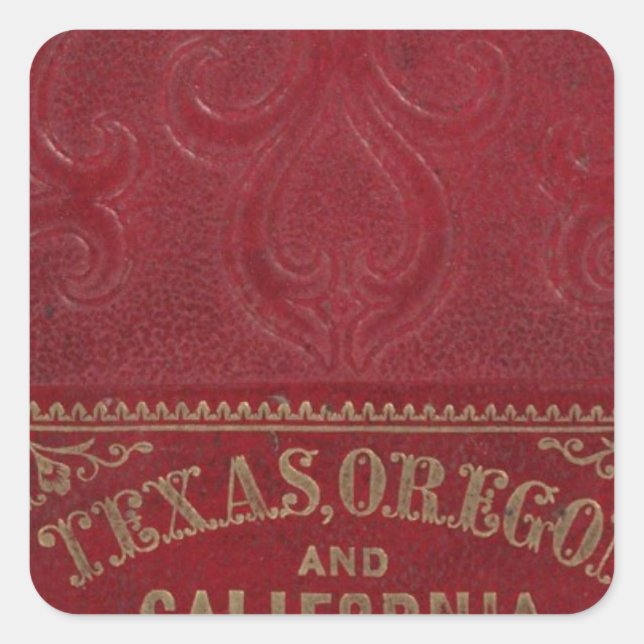 Sticker Carré Vue géographique du Texas (Devant)