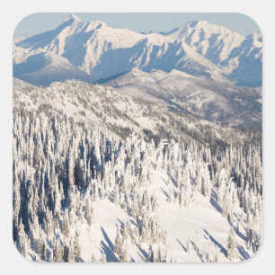 Sticker Carré Vue Pittoresque sur les montagnes et les arbres de