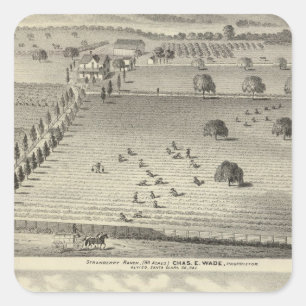 Sticker Carré Wade ranch, résidence Weller