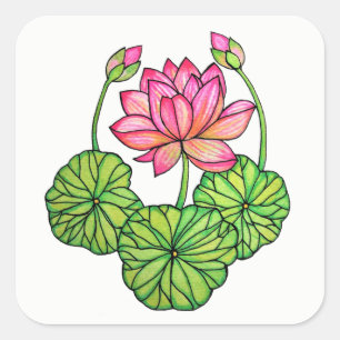 Sticker Carré Watercolor Pink Lotus with Buds & Leaves
