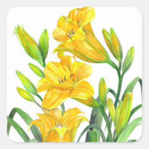 Sticker Carré Watercolor Yellow Day Lilies Floral Art