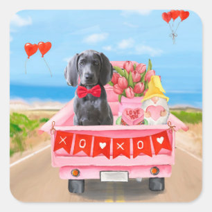 Sticker Carré Weimaraner Chien Valentine's Day Coeurs de camion