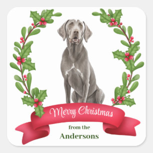 Sticker Carré Weimaraner Holly Banner Noël