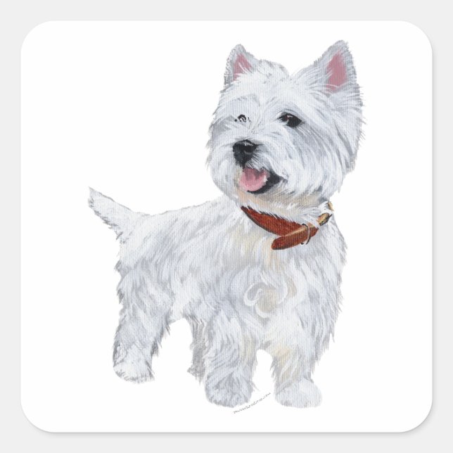 Sticker Carré West Highland White Terrier (Devant)