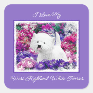 Sticker Carré West Highland White Terrier Peinture Dog Art Squar