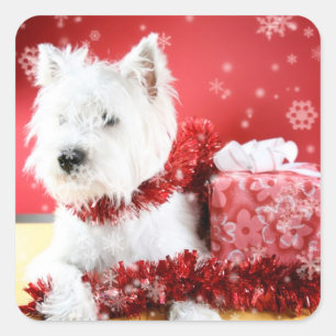 Sticker Carré Westie Snowflake Conception de vacances