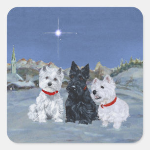 Sticker Carré Westies et un Scottie Christmas