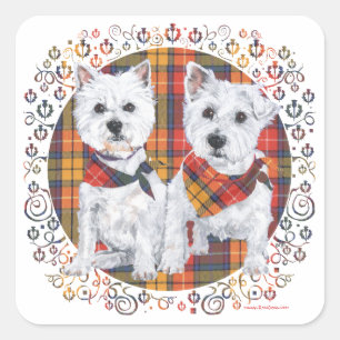 Sticker Carré Westies sur Tartan