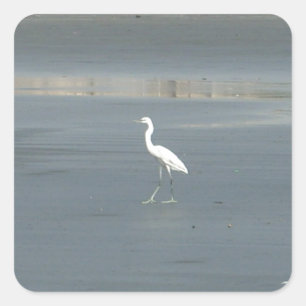 Sticker Carré White Bird on Grey Sand Beach Art Imprimer