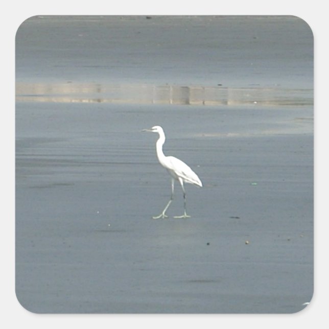 Sticker Carré White Bird on Grey Sand Beach Art Imprimer (Devant)