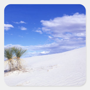 Sticker Carré White Sands NM, Nouveau-Mexique, États-Unis