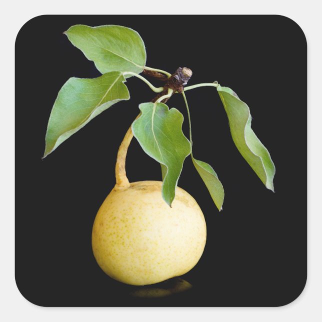 Sticker Carré Wild pear (Devant)