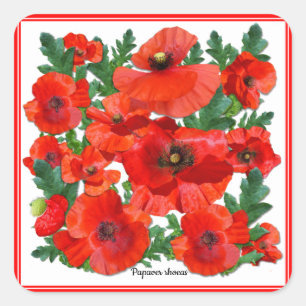 Sticker Carré Wild Red Poppies
