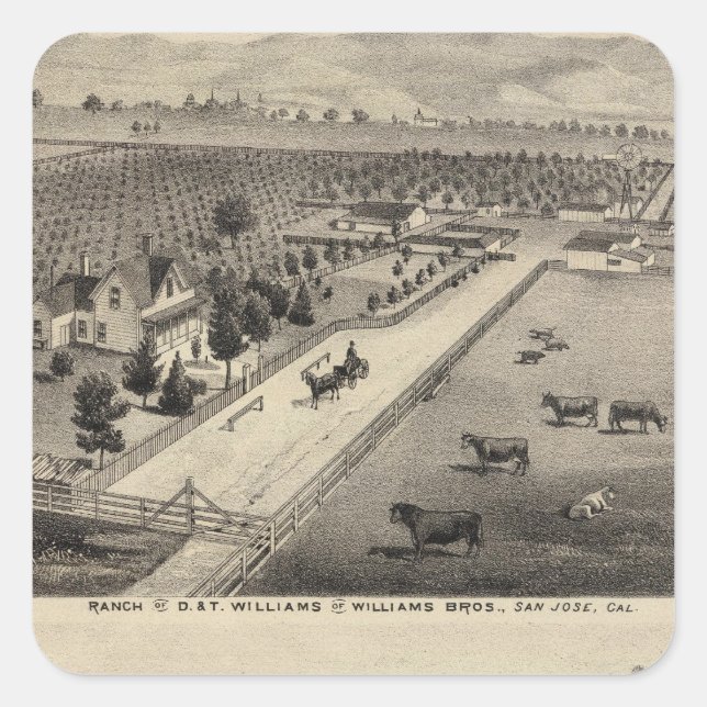 Sticker Carré Williams Ranch, carrière de Goodrich (Devant)