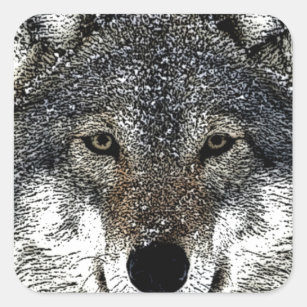 Sticker Carré Wolf Eyes