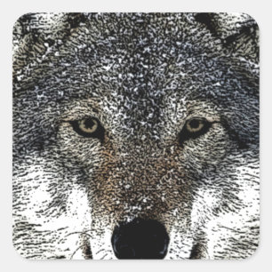 Sticker Carré Wolf Eyes