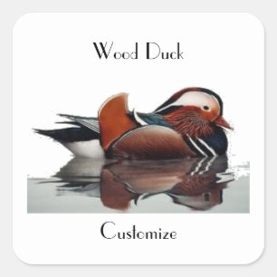 Sticker Carré Wood Duck