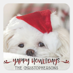 Sticker Carré YAPPY HOWLIDAYS Chien Photo Holiday