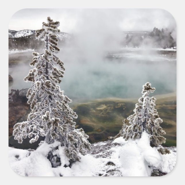 Sticker Carré Yellowstone neigeux (Devant)