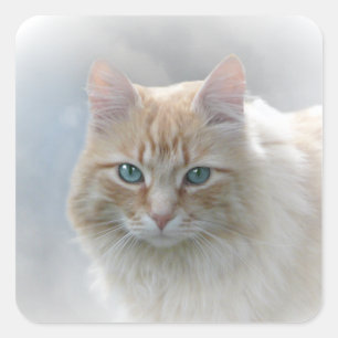 Sticker Carré Yeux clairs AH2010