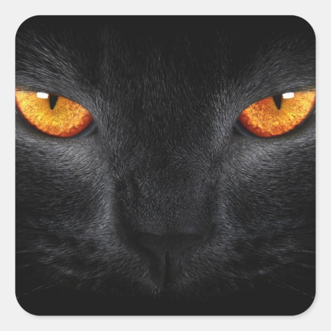 Sticker Carré Yeux de panthère noire (Devant)