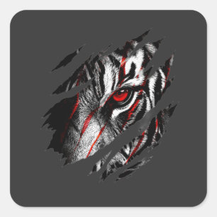 Sticker Carré Yeux de tigre animés à travers une égratignure
