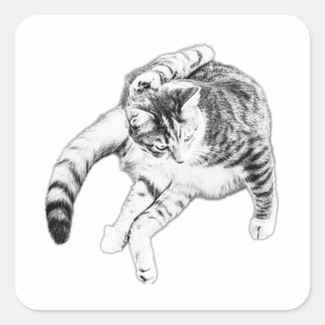 Sticker Carré Yoga, Mais Faites-Le Chat (Devant)