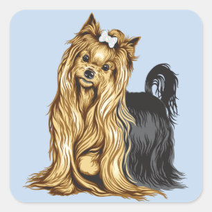 Sticker Carré yorkshire terrier