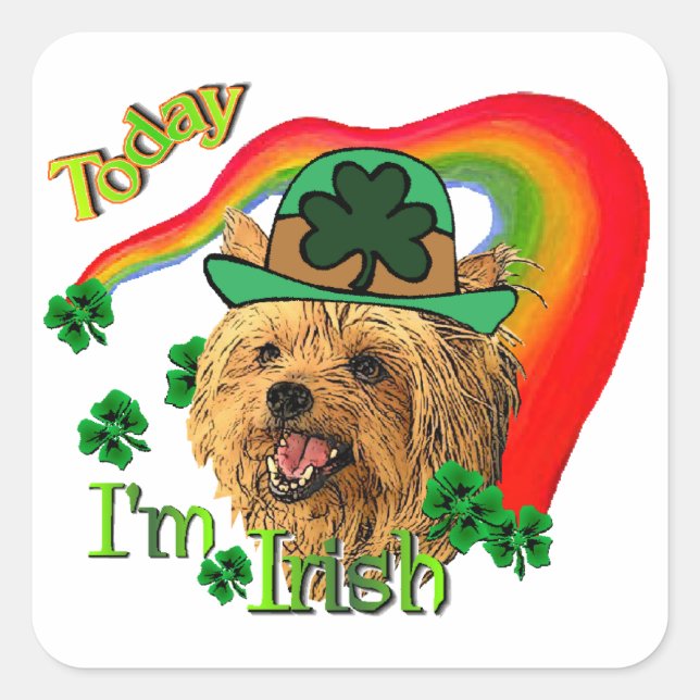 Sticker Carré Yorkshire Terrier St patrick (Devant)