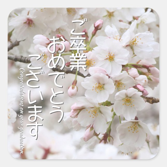 Sticker Carré Yoshino Cherry (Devant)