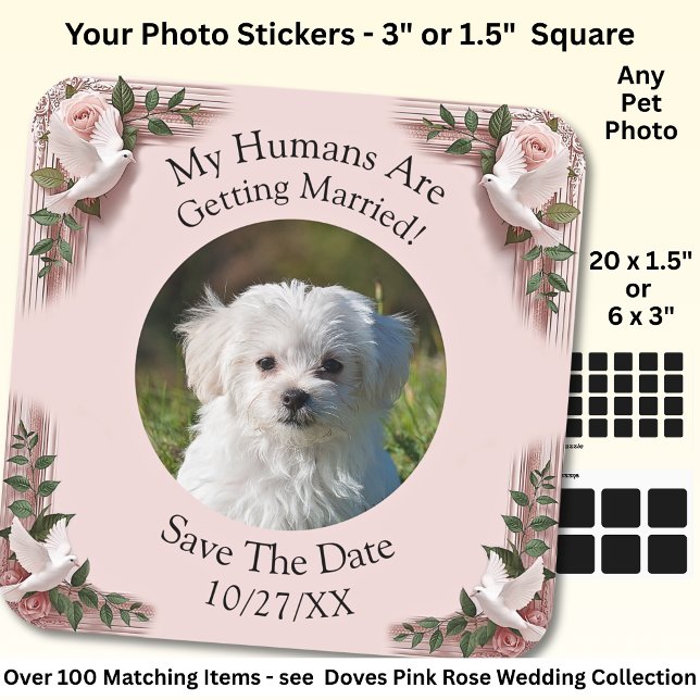 Sticker Carré Your Pet Photo, Save The Date, Pink Roses & Doves  (Créateur téléchargé)