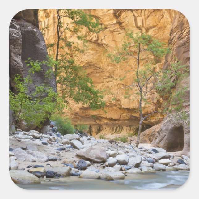 Sticker Carré Zion Narrows (Devant)