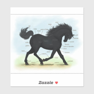 Sticker Carte d'anatomie du cheval noir ou de l'équine pon