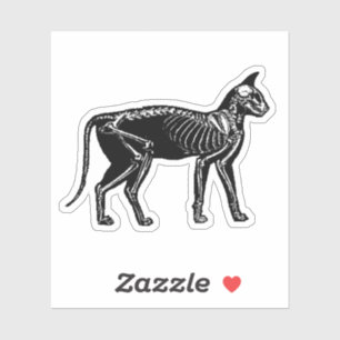 Sticker Cat Skeleton