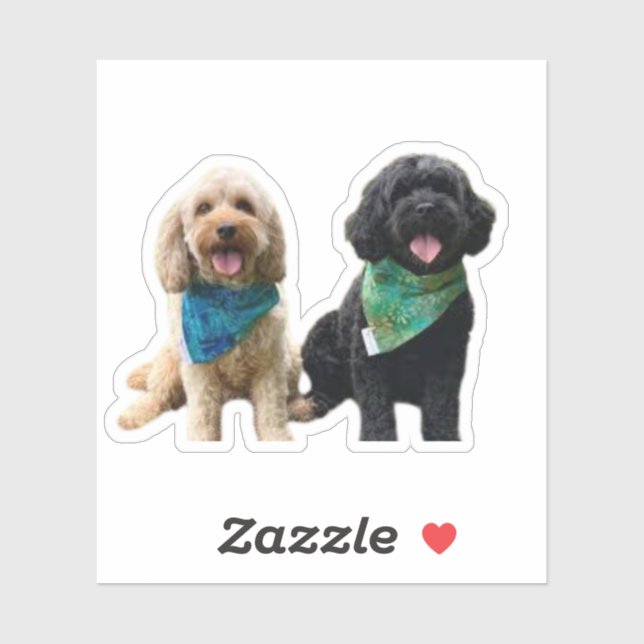 Sticker Cavapoo Cavoodle Cockerpoo Chien de concepteur de  (Feuille)