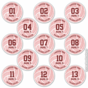 Sticker ceinture rose de 13 volleyball