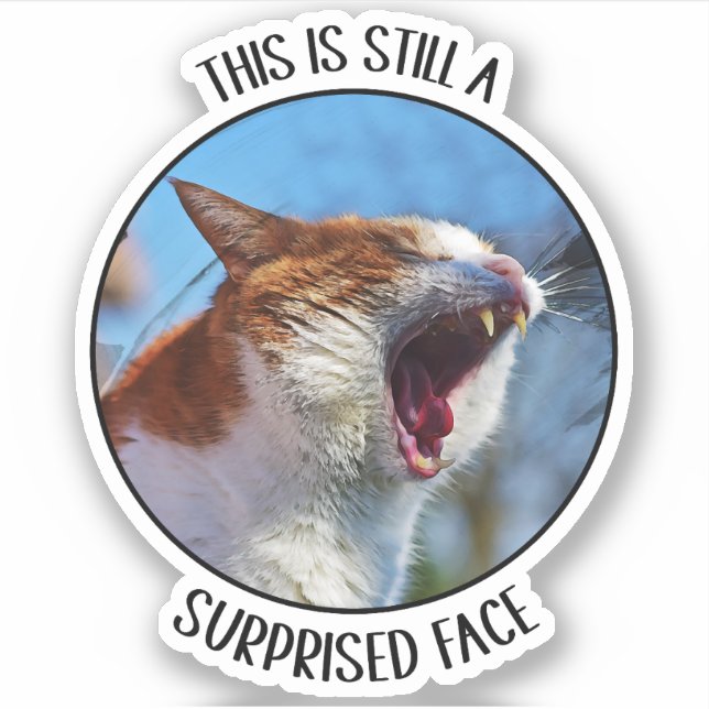 Sticker C'est toujours un visage surpris drôle mème de cha (Devant)