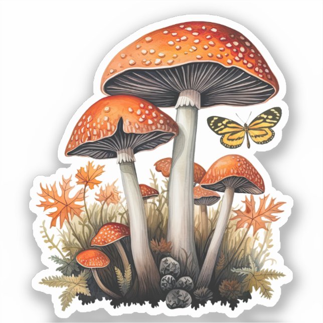 Sticker Champignons de la forêt automnale (Recto)