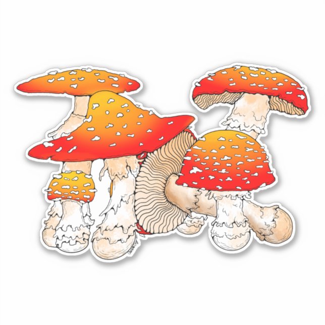 Sticker Champignons rouges et oranges (Devant)
