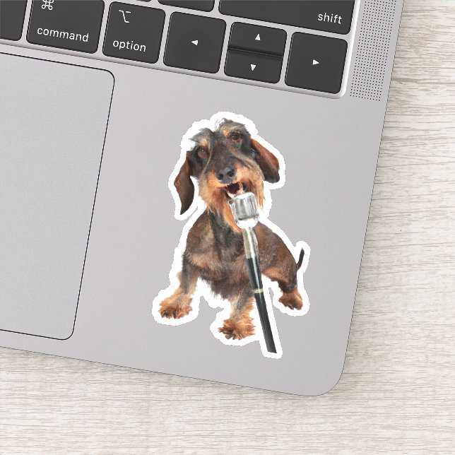 Sticker Chant Dachshund Wirehair (Détail)