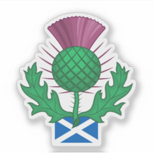 Sticker Chardon d'Écosse