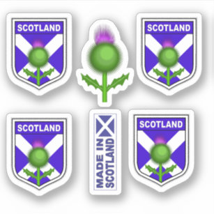 Épingle à kilt chardon écossais, motif nœud celtique