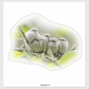 Sticker Charme de coeur Cute Bushtits Songbirds Photo de f