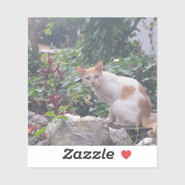 Sticker Chat assis sur une rouble de pierres (Feuille)