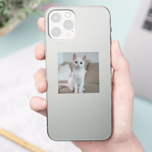 Sticker chat blanc | Zazzle_Growshop. (Téléphone)